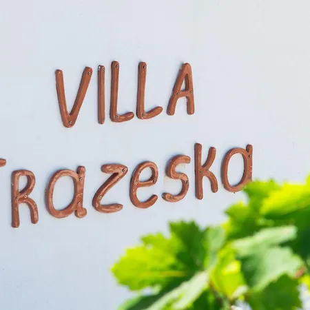 Frazeska 3*